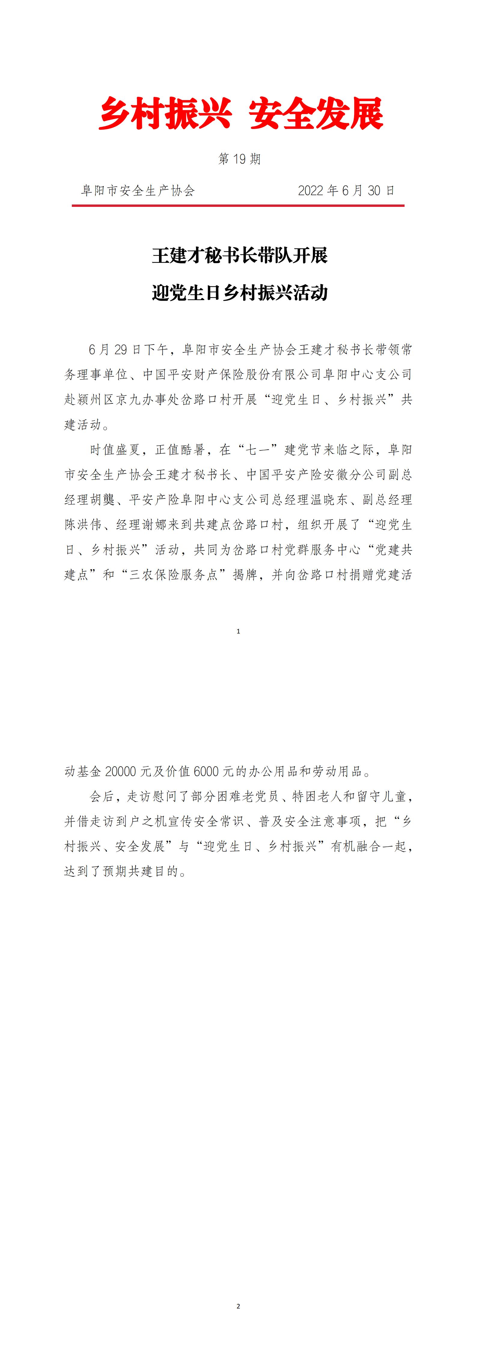 乡村振兴安全发展简报第19期_00.jpg