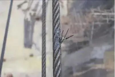 4人死亡！又是这个原因！(图17)