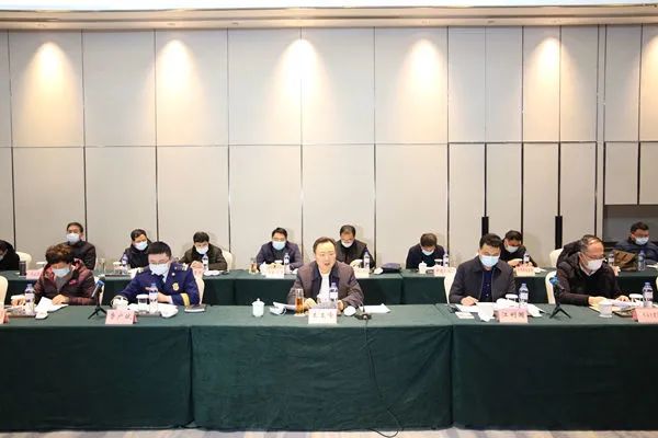 省安委会考核巡查阜阳市安全生产和消防工作汇报会召开(图3)